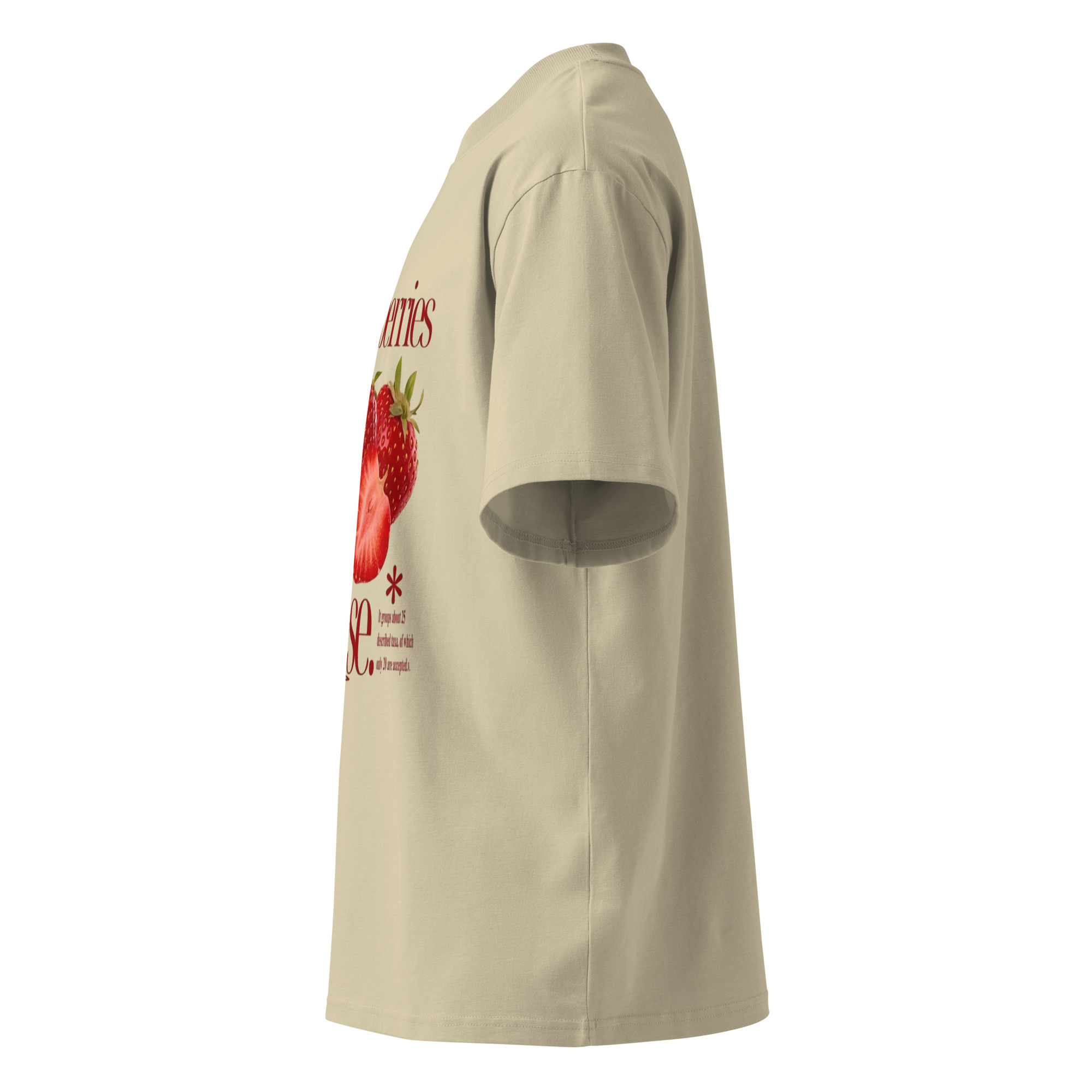 strawberry bloom oversized high neck t shirt strawberry bloom oversized high neck t shirt